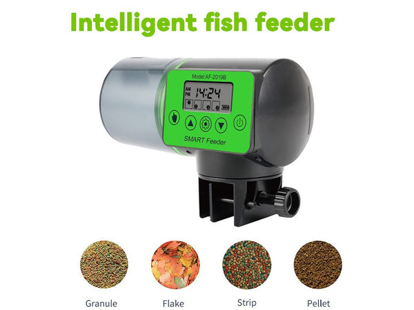 Auto Fish Feeder