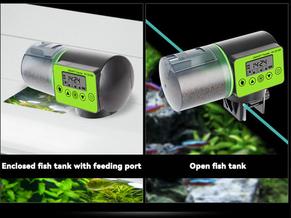 Auto Fish Feeder