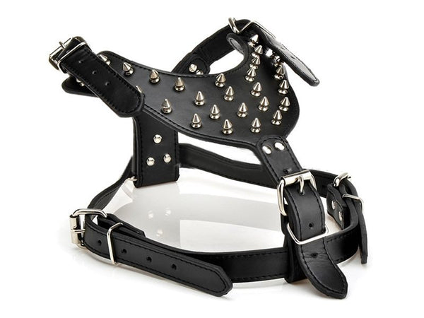 Dog Harness