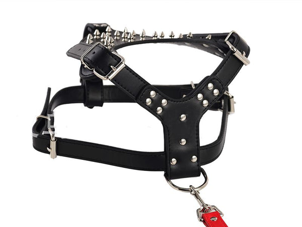 Dog Harness