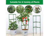 Tomato Cage 126CM - Climbing Vegetable Cage 3PCS