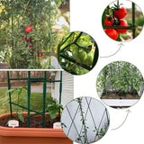 Tomato Cage 126CM - Climbing Vegetable Cage 3PCS