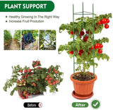 Tomato Cage 126CM - Climbing Vegetable Cage 3PCS