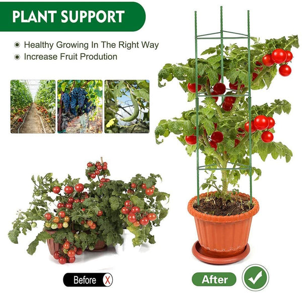 Tomato Cage 126CM - Climbing Vegetable Cage 3PCS