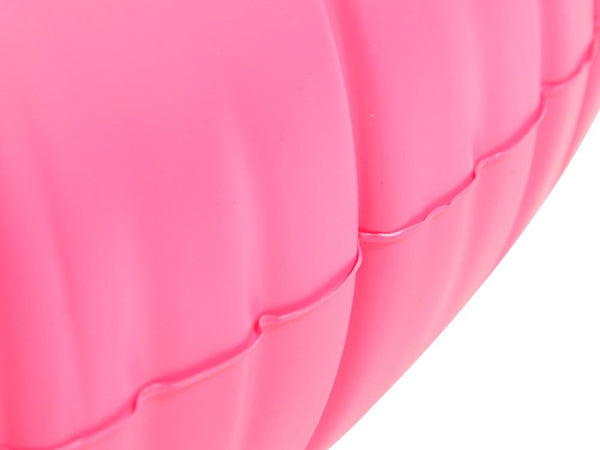 Flamingo Pool Float Swimming Laps - 120cm