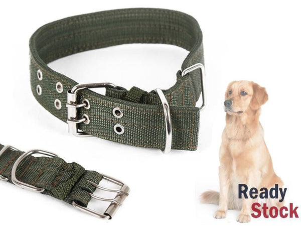 Dog Collar