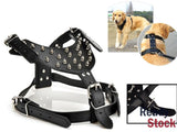 Dog Harness