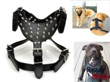 Dog Harness