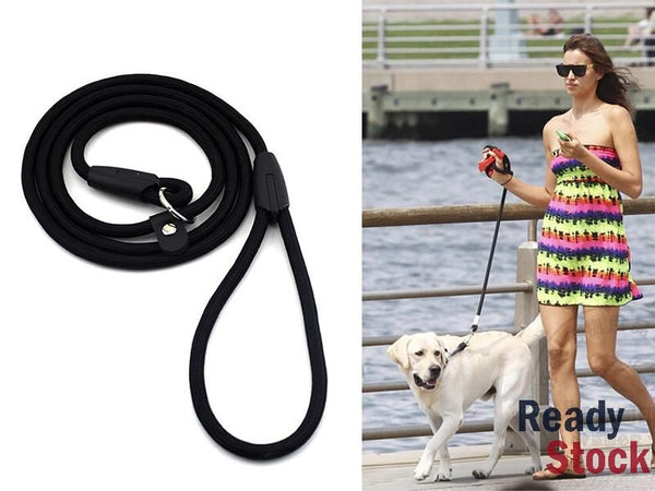 Dog Collar Lead