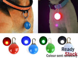 Dog LED Flashing Collar Pendant Safety Light