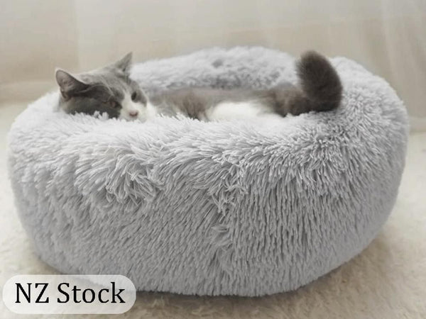 Cat Bed