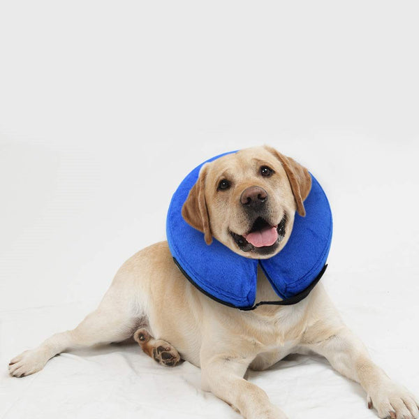 Inflatable Pet Dog Collar Recovery Cone - Large