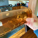 2Pcs Humane Mouse Traps No Kill Brown A03