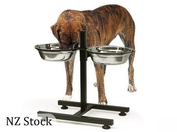 Dog Bowl