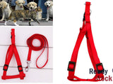 Cat Pet Harness Walking Belt