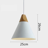 Pendant Light Hanging lamp