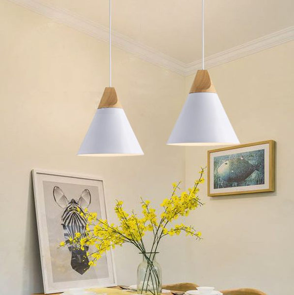 Pendant Light Hanging lamp