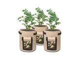 Grow Bag Potato Grow Bag