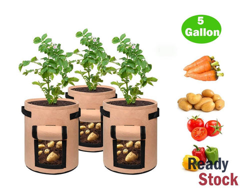 Grow Bag Potato Grow Bag