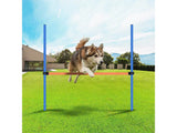 Pet Dog Training Agility Jump Bar