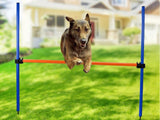 Pet Dog Training Agility Jump Bar