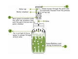 Fermentation Airlock Air Lock