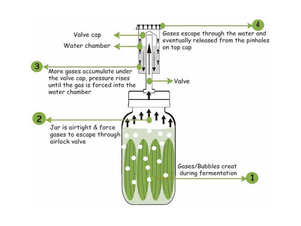 Fermentation Airlock Air Lock