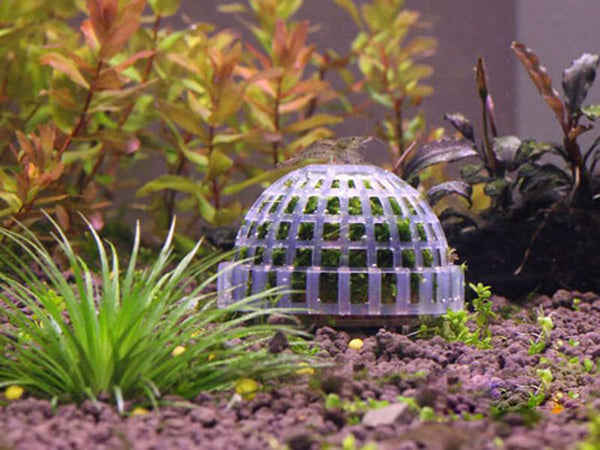 Aquarium Fish Tank Biological Ball