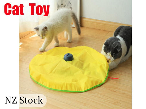 Cat Toy