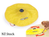 Cat Toy