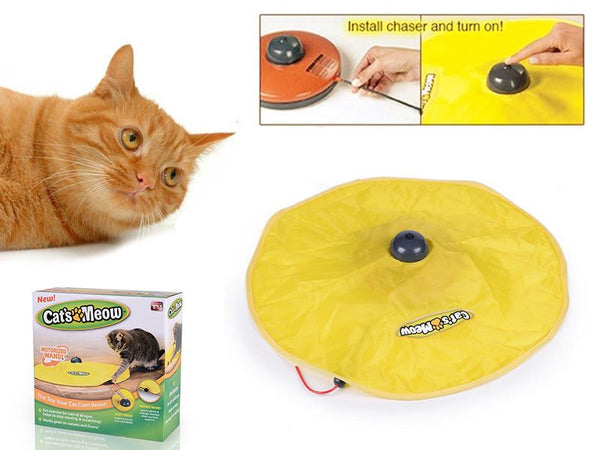 Cat Toy