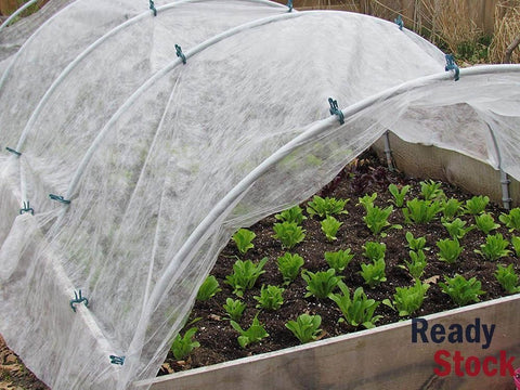 Plants Cover Frost Blanket Freeze Protection