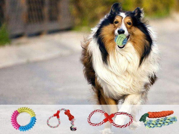 Pack of 10 Dog Toy Set Pet Dog Rope Gift Chew Cotton Plush