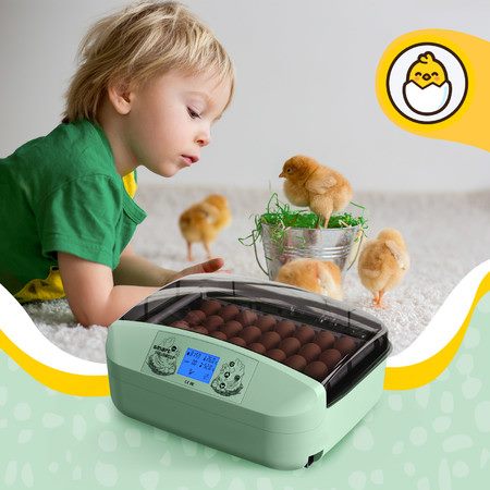 32 Egg Incubator