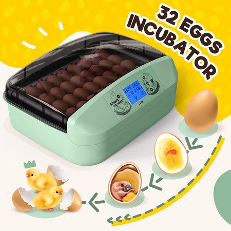 32 Egg Incubator