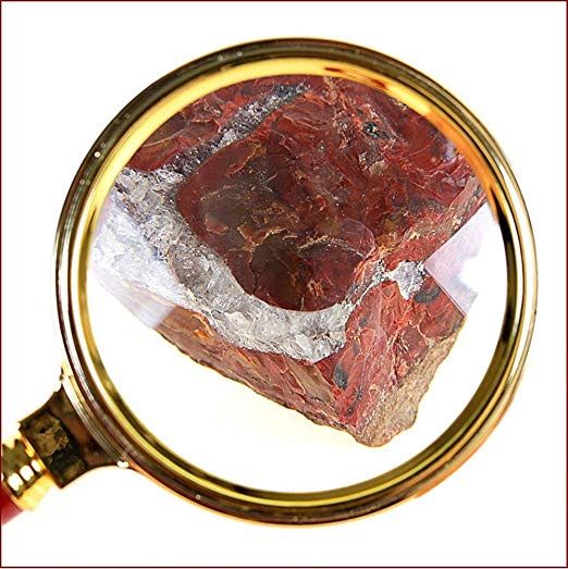 10X Reading Magnifier Handheld Portable Jewelry Map Crafts Magnify Glasses