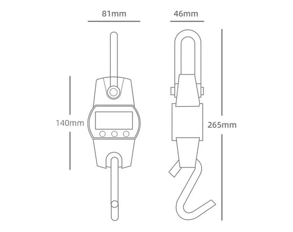 300kg Digital Hanging Crane Scale (300KG)