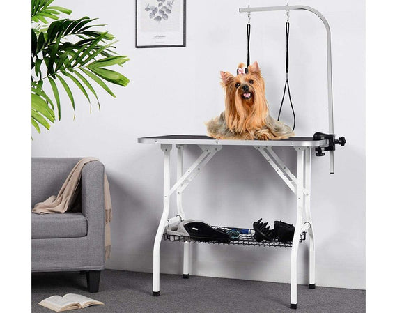 Dog Grooming Table