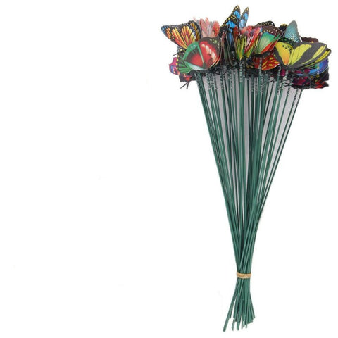 Garden Butterfly Outdoor Butterflies