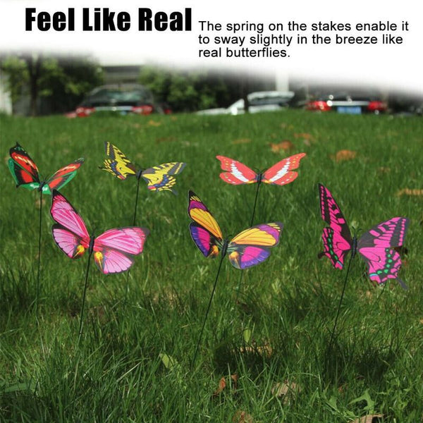 Garden Butterfly Outdoor Butterflies