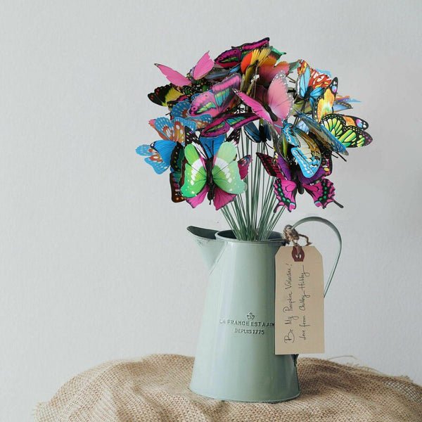 Garden Butterfly Outdoor Butterflies