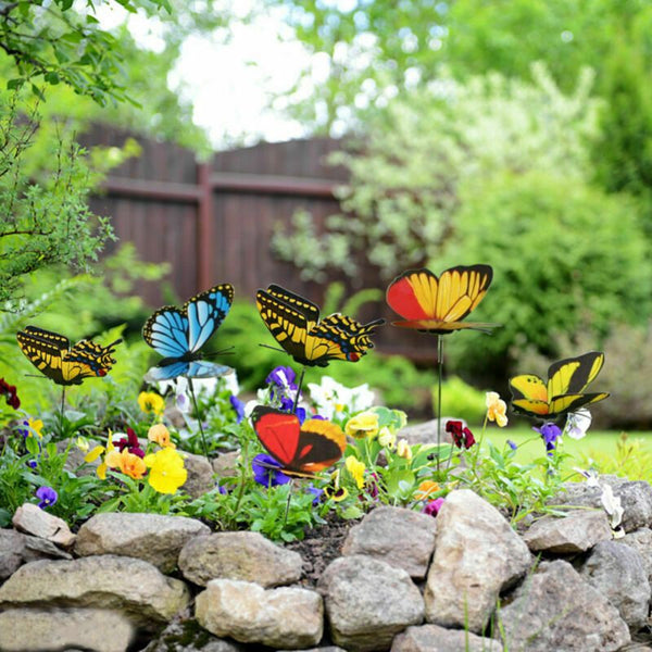 Garden Butterfly Outdoor Butterflies