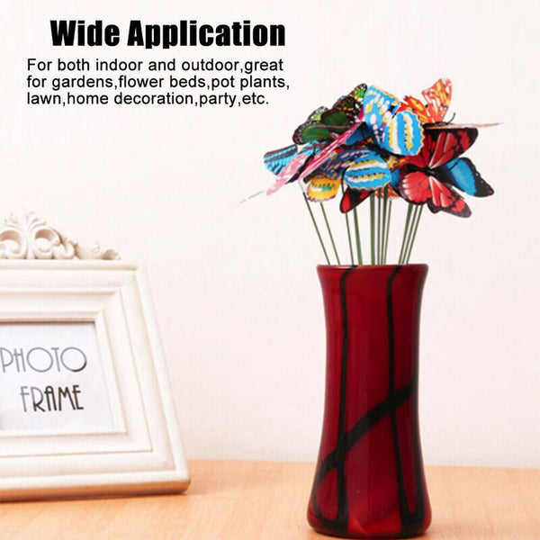 Garden Butterfly Outdoor Butterflies