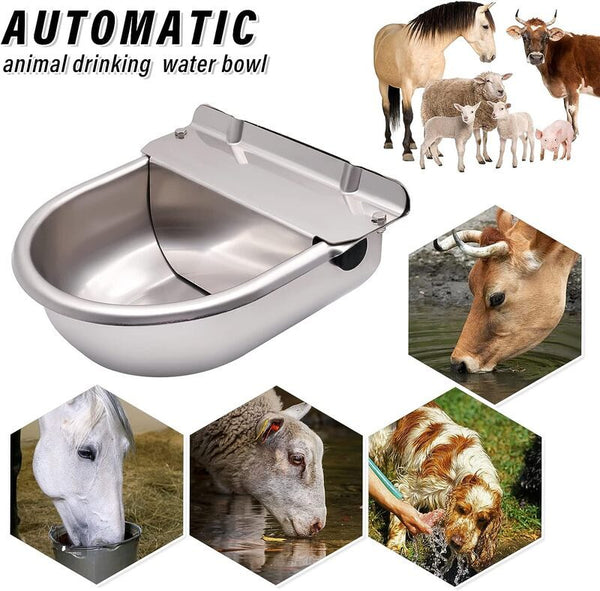 Water Trough Auto fill Drinking Bowl