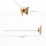 Garden Butterfly Outdoor Butterflies