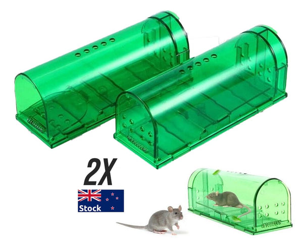 Mouse Trap Rat Traps Pest Control