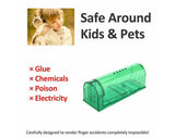Mouse Trap Rat Traps Pest Control