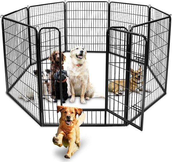 Dog Play Dog Pen Size XXL