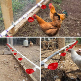 Chicken Automatic Watering Cups Poultry Feeder Drinker