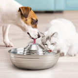 Pet Water Fountain